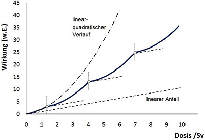 Abbildung 2.1: Dosisleistungs-Effekt: Unter Zugrundelegung einer linear-quadratischen Dosis-Wirkungsbeziehung (Gl. 2.1 und Gl. 2.2, hier mit alpha/beta = 1 Sv) ergibt sich bei Fraktionierung, d. h. bei Exposition mit mehreren Einzeldosen, eine kleinere Wirkung (durchgezogene Linie) als die Wirkung durch eine einmalige Exposition mit gleicher Dosis (punkt-gestrichelte Linie). Im Grenzübergang zu sehr vielen Fraktionen folgt die Wirkung dem linearen Anteil (gestrichelte Linie) des linear-quadratischen Verlaufs.