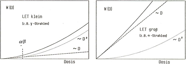 Abbildung 2.2: Linear-quadratische Dosis-Wirkungsbeziehungen für Strahlenarten mit kleinem (links) und mit großem (rechts) LET. Der Quotient alpha/beta hängt vom LET ab und bezeichnet den Dosiswert, für den der lineare und der quadratische Term gleich groß sind. Beachte: Der quadratische Anteil (gepunktete Linie) ist in beiden Abbildungsteilen gleich.