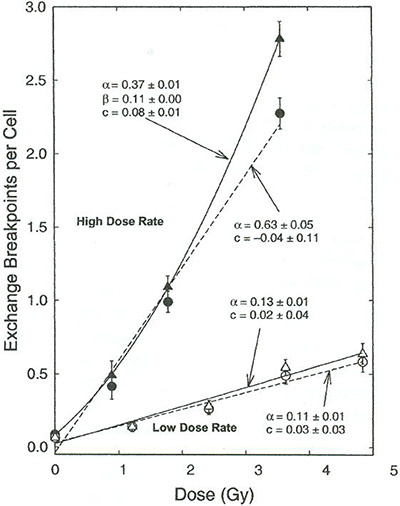 Abbildung 3.1: Anzahl der Bruchstellen pro Zelle bei Chromosomen-Austauschaberrationen in Abhängigkeit von der Dosis bei verschiedenen Dosisleistungen. Die Parameter alpha und beta geben den linearen bzw. quadratischen Term in der linear-quadratischen Beziehung (s. Gl. 2.1) an, c ist der Achsenabschnitt der Polynome. Dreiecke geben „komplexe“ Aberrationen (mehrere Bruchstellen pro Austausch), Kreise „einfache“ Aberrationen (eine oder wenige Bruchstellen pro Austausch) an.